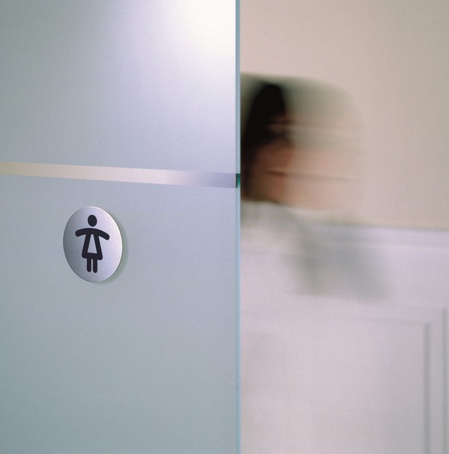 Piktogram WC dámy - Image 3