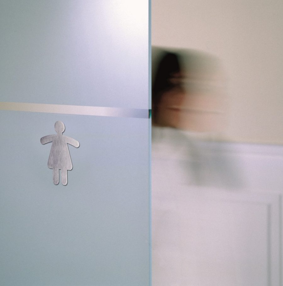 Piktogram WC dámy tvarované - Image 2